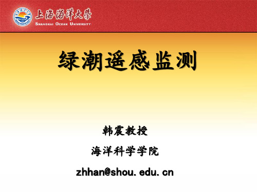 绿潮遥感监测20130322
