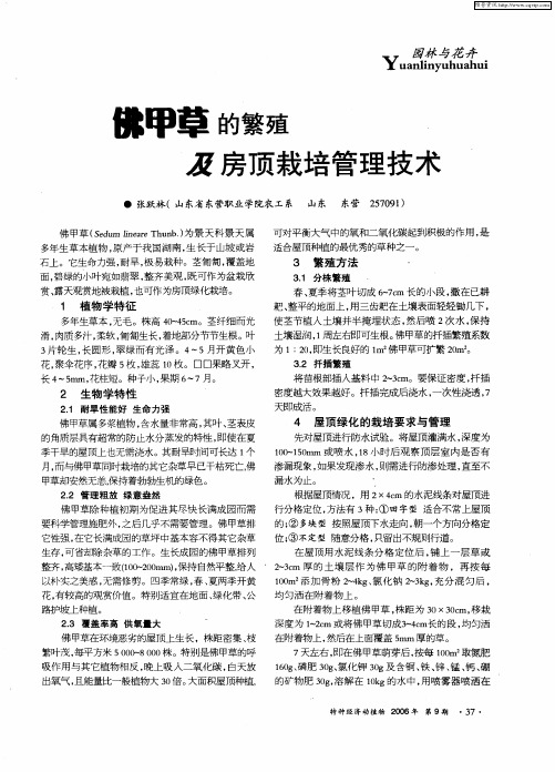 佛甲草的繁殖及房顶栽培管理技术
