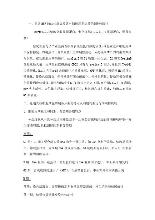 细胞周期的理解