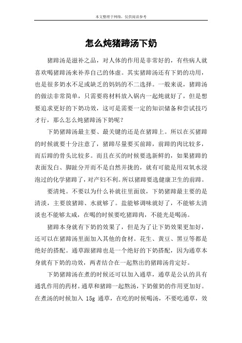 怎么炖猪蹄汤下奶