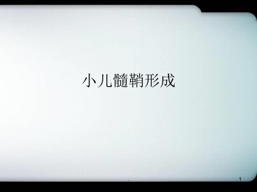 小儿髓鞘形成医学PPT课件
