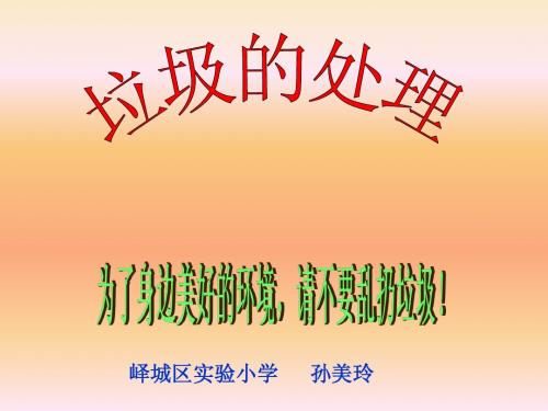 垃圾的处理ppt (1)