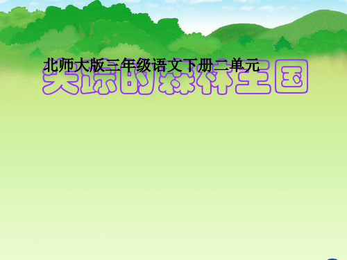 《失踪的森林王国》PPT课件