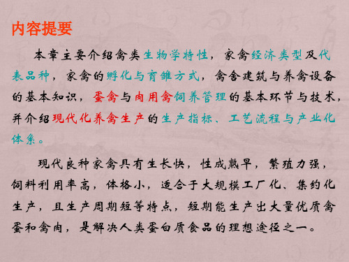 畜牧学-7-养禽