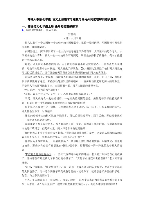部编人教版七年级 语文上册期末专题复习课内外阅读理解训练及答案