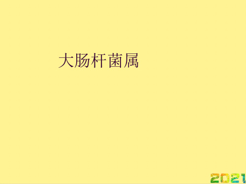 大肠杆菌属完整PPT