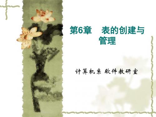 第6章 表的创建与管理