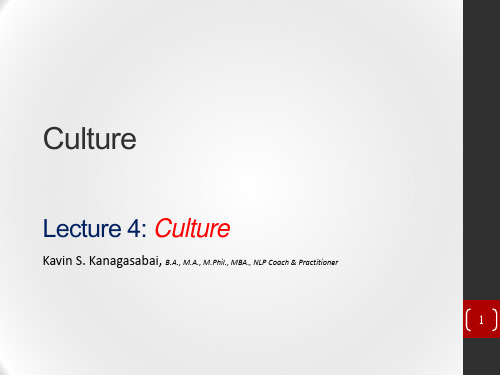文化._Culture