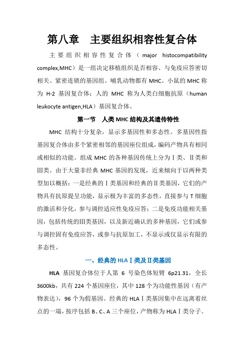 第八章 主要组织相容性复合体docx