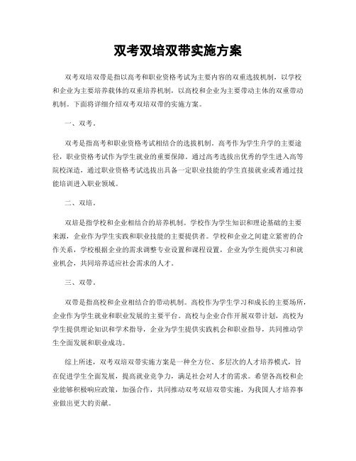 双考双培双带实施方案