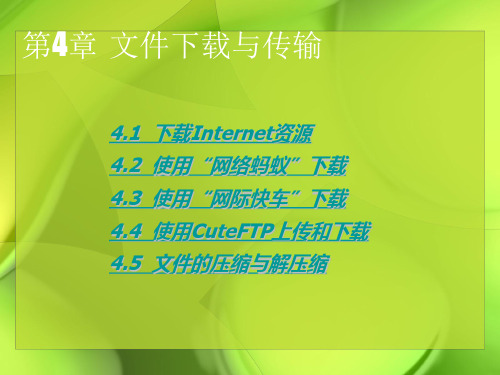 Internet应用与网页制作-文件下载与传输