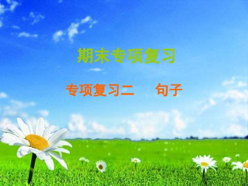 统编版三年级下册语文习题ppt课件-期末专项复习 二 句子  (共11张)