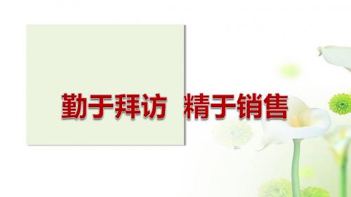 保险精英分享勤于拜访精于销售18页