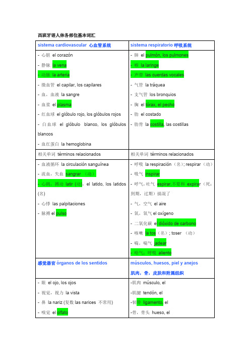 人体各部位词汇汇总西班牙语