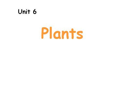 四年级下册英语课件-Unit6 Plants-深港朗文版