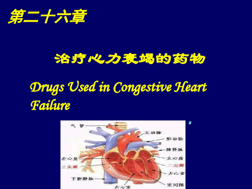 第26章治疗心衰药物