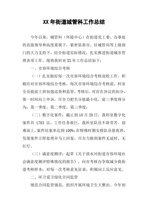 XX年街道城管科工作总结_2