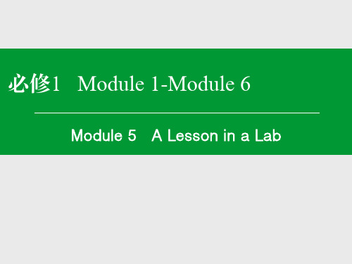 名师伴你行 高考一轮总复习 外研版 必修1 Module 5