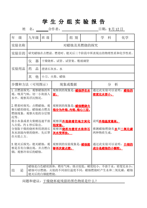 化学学生分组实验报告单 人教版