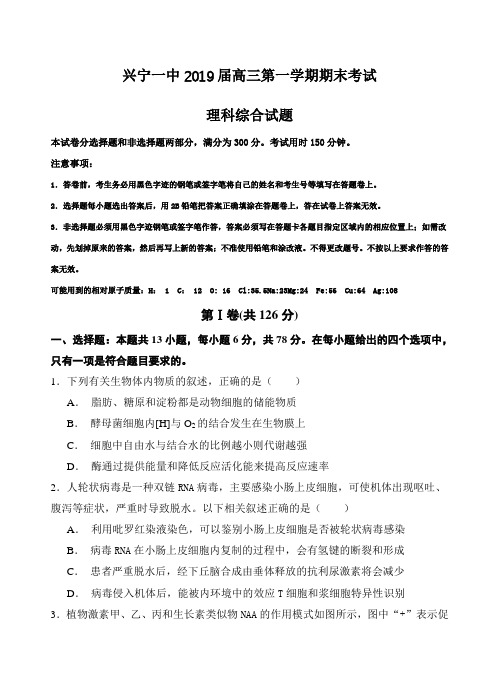 广东省兴宁市第一中学2019届高三上学期期末考试理科综合试卷(含答案)