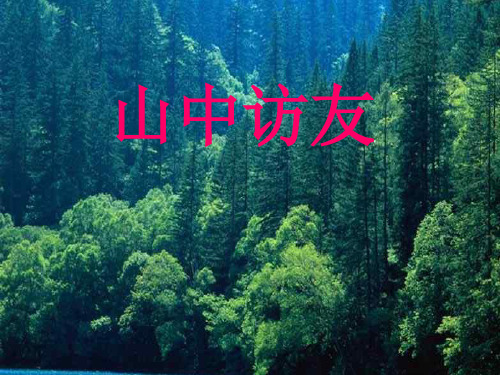 人教新课标六年级语文上册课件-山中访友PPT课件