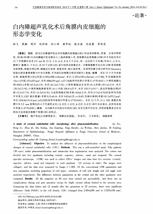 白内障超声乳化术后角膜内皮细胞的形态学变化