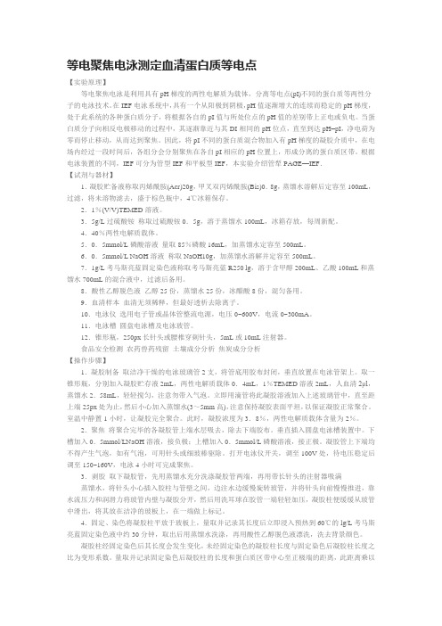 等电聚焦电泳测定血清蛋白质等电点