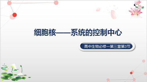 细胞核-系统的控制中心-ppt精品课件