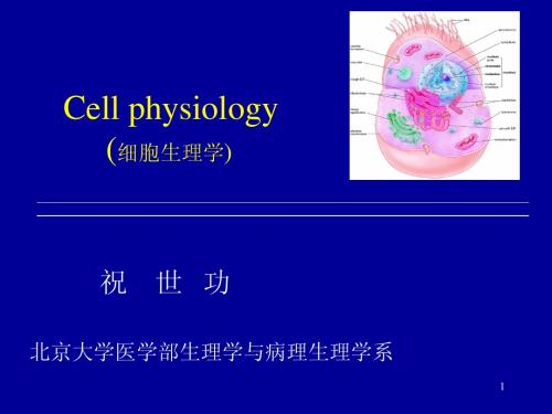 细胞生理学(1n)