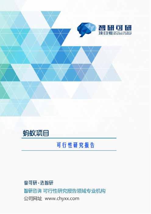蚂蚁项目可行性研究报告