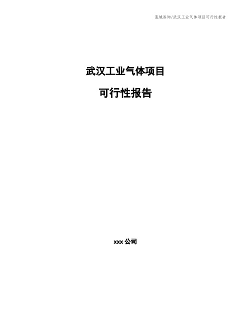 武汉工业气体项目可行性报告