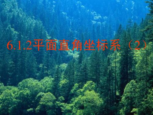6.1.2平面直角坐标系2