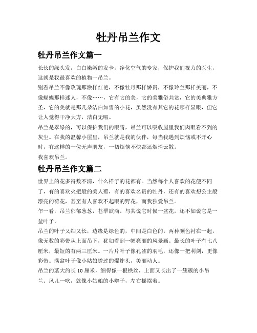 牡丹吊兰作文