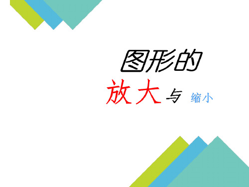 苏教版数学六年级下册图形的放大与缩小课件2