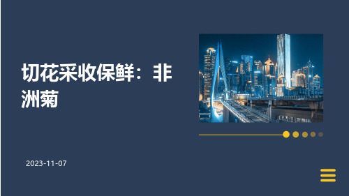 切花采收保鲜：非洲菊
