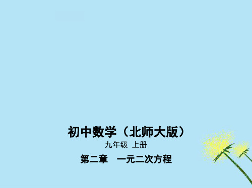 (赛课课件)北师大版九年级数学上册《用公式法求解一元二次方程》