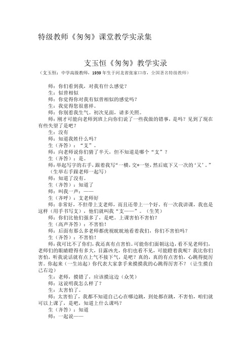 特级教师《匆匆》课堂教学实录集