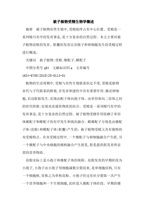 被子植物受精生物学概述