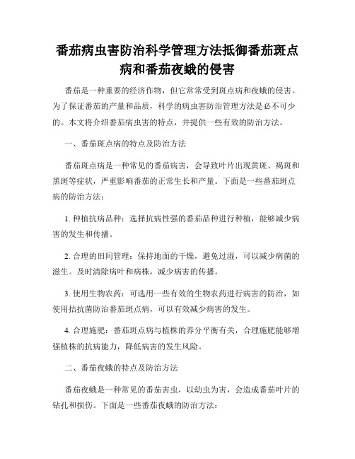 番茄病虫害防治科学管理方法抵御番茄斑点病和番茄夜蛾的侵害