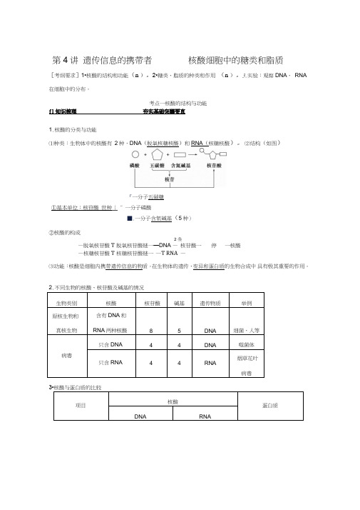 2016届《步步高》高考生物一轮复习第4讲遗传信息的携带者——核酸