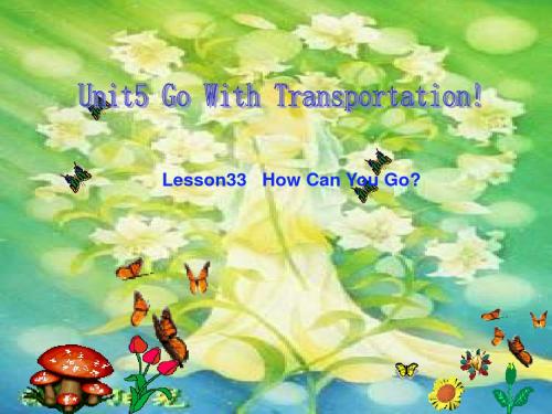 冀教版英语八下《Unit 5 Go with Transportation》(Lesson33-36)ppt课件