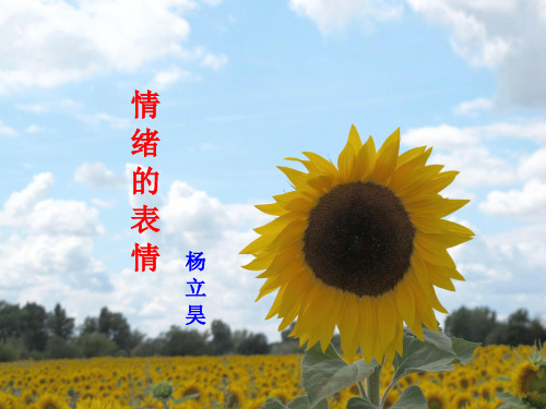 情绪的表情