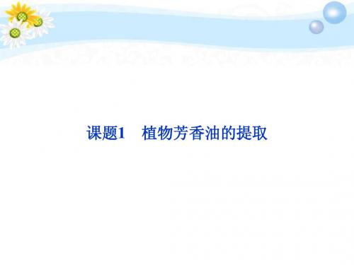人教版教学课件植物芳香油的提取课件