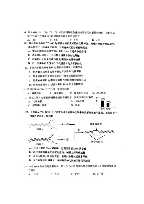 DNA复制、放射性同位素标记与细胞分裂