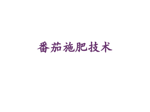 番茄的施肥技术