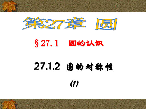 27.1.2圆的对称性(1)