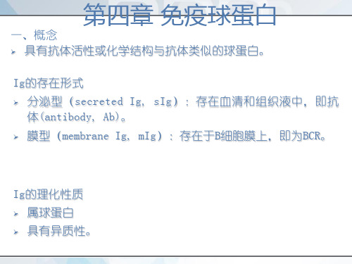 《免疫学》免疫球蛋白  ppt课件