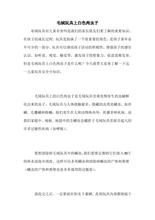 毛绒玩具上白色肉虫子
