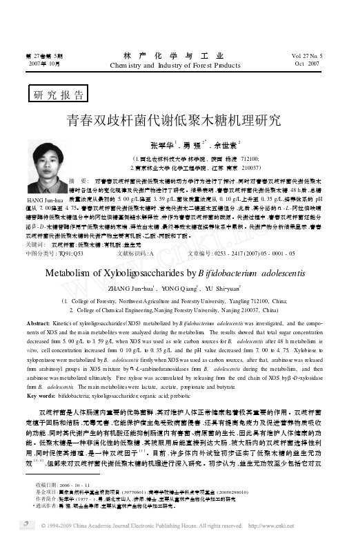 青春双歧杆菌代谢低聚木糖机理研究