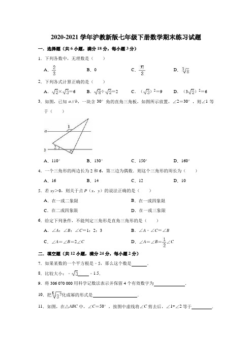 2020-2021学年沪教 版(上海)七年级第二学期数学期末练习试题(解析版)